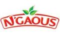 Ngaous